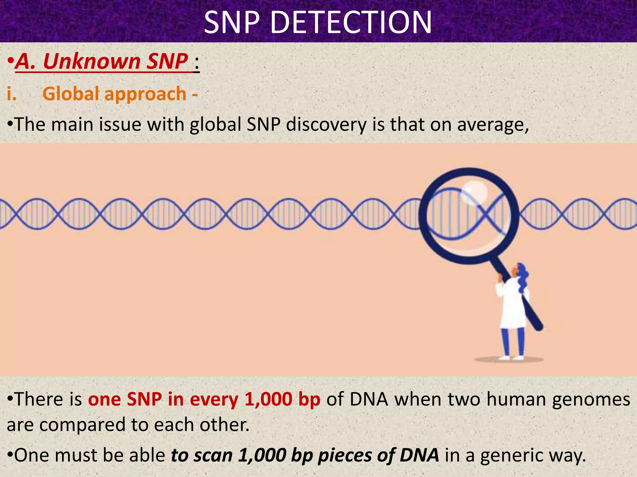 SNP DETECTION
•A. Unknown SNP :
i. Global approach -
•The main issue with global SNP discovery is that on average,
•There is one SNP in every 1,000 bp of DNA when two human genomes
are compared to each other.
•One must be able to scan 1,000 bp pieces of DNA in a generic way.
 