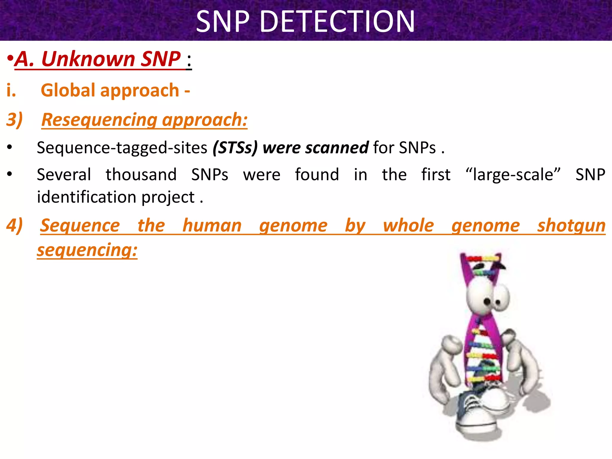 SNP DETECTION
•A. Unknown SNP :
i. Global approach -
3) Resequencing approach:
• Sequence-tagged-sites (STSs) were scanned for SNPs .
• Several thousand SNPs were found in the first “large-scale” SNP
identification project .
4) Sequence the human genome by whole genome shotgun
sequencing:
 