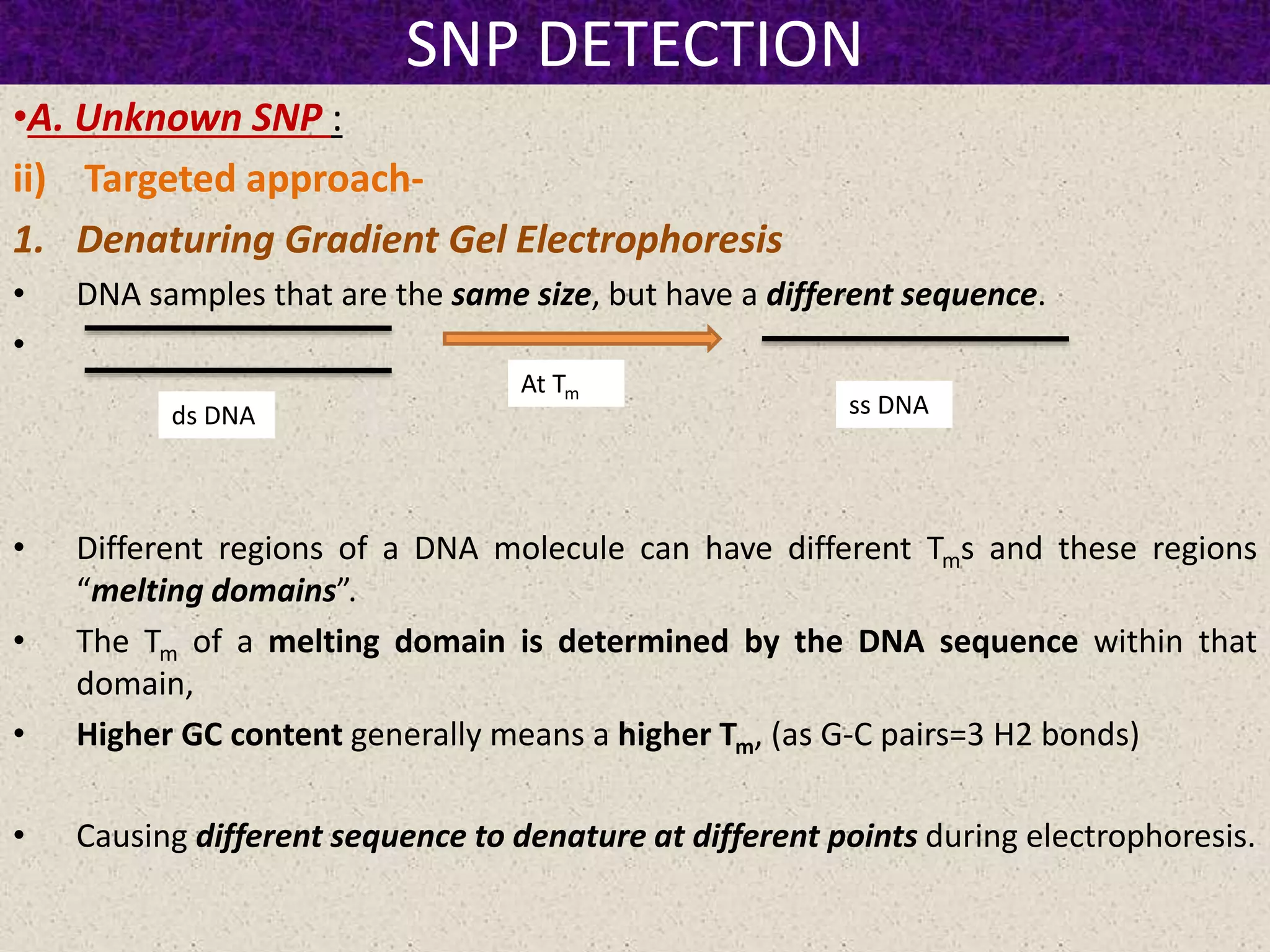 SNP DETECTION
•A. Unknown SNP :
ii) Targeted approach-
1. Denaturing Gradient Gel Electrophoresis
• DNA samples that are the same size, but have a different sequence.
•
• Different regions of a DNA molecule can have different Tms and these regions
“melting domains”.
• The Tm of a melting domain is determined by the DNA sequence within that
domain,
• Higher GC content generally means a higher Tm, (as G-C pairs=3 H2 bonds)
• Causing different sequence to denature at different points during electrophoresis.
ds DNA
At Tm
ss DNA
 