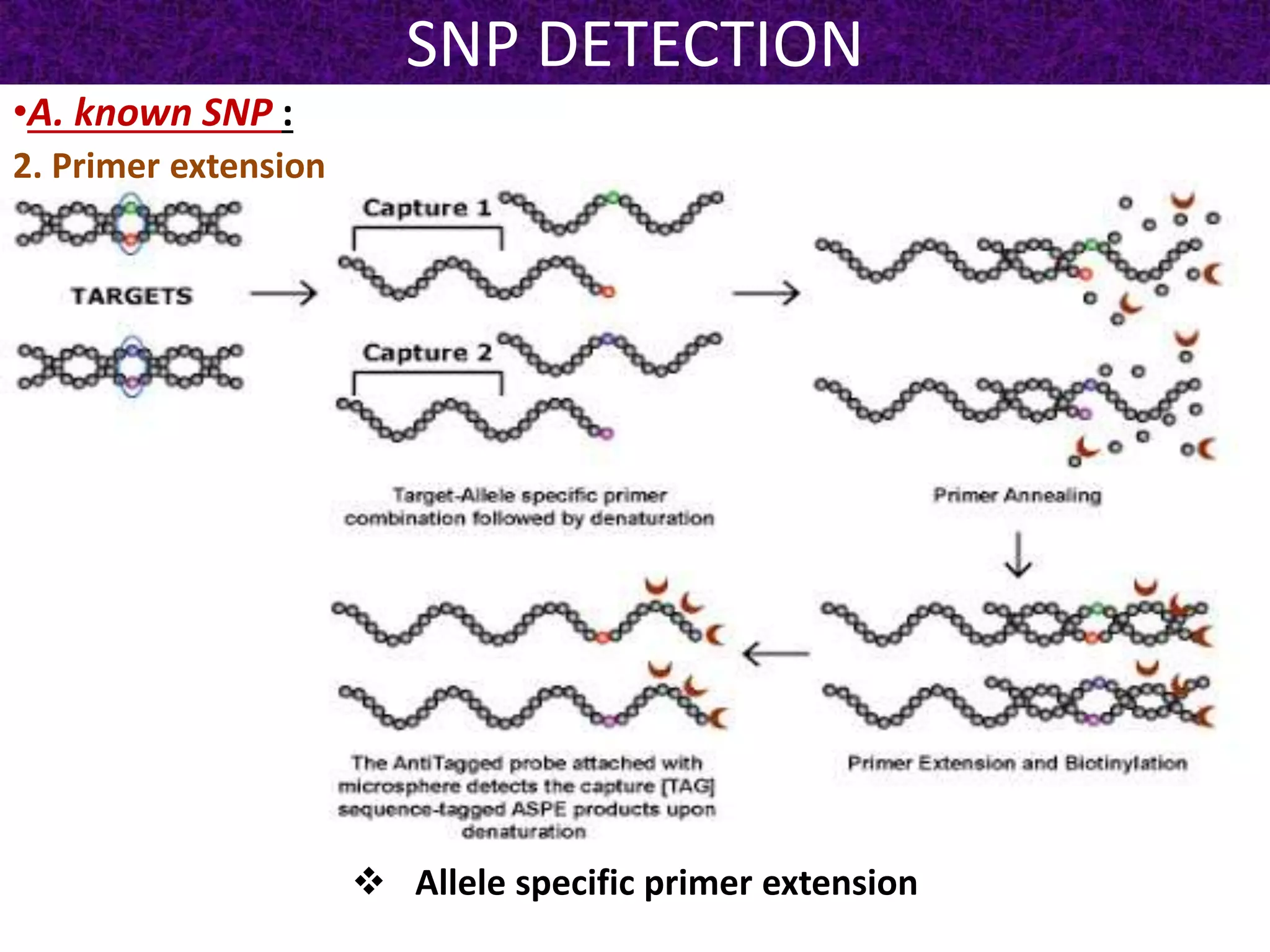 SNP DETECTION
•A. known SNP :
2. Primer extension
 Allele specific primer extension
 