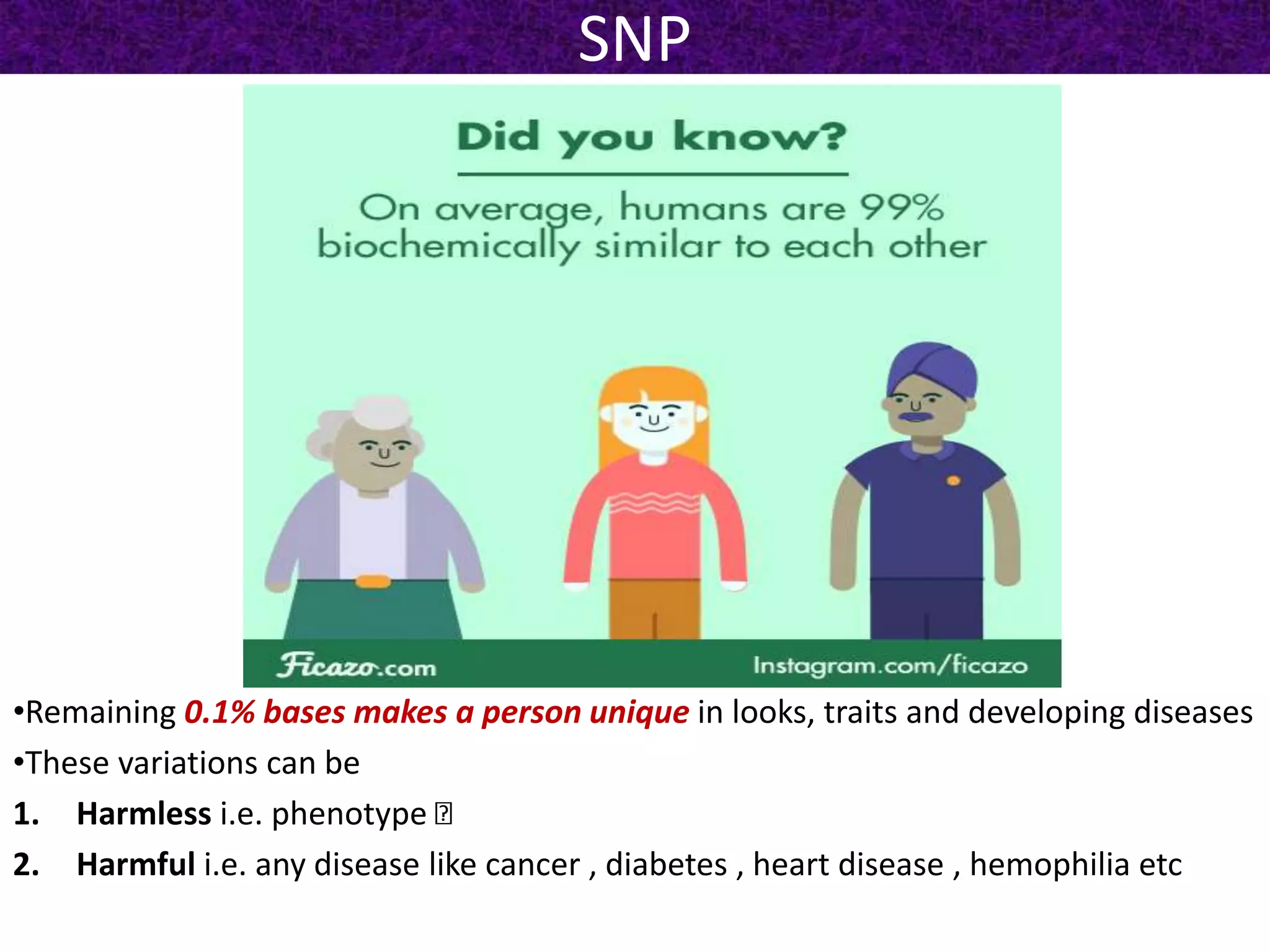 SNP
•Remaining 0.1% bases makes a person unique in looks, traits and developing diseases
•These variations can be
1. Harmless i.e. phenotype
2. Harmful i.e. any disease like cancer , diabetes , heart disease , hemophilia etc
 