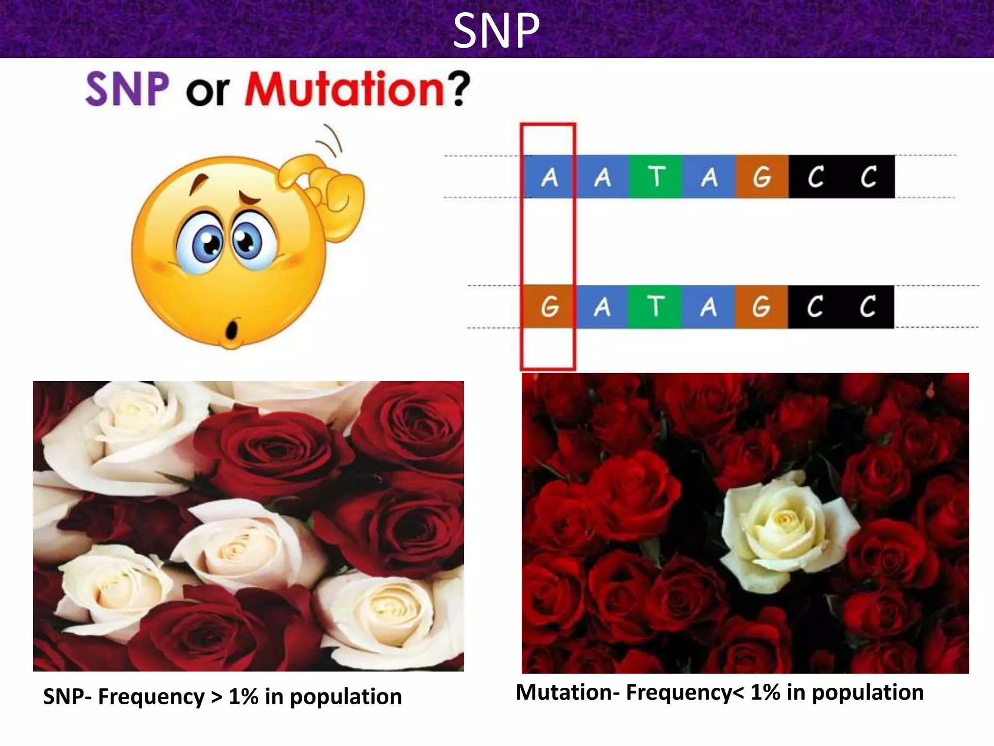SNP
SNP- Frequency > 1% in population Mutation- Frequency< 1% in population
 