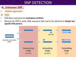 SNP DETECTION
•A. Unknown SNP :
i. Global approach -
2) PCR:
• PCR didn’t overcome the limitations of RFLPs.
• Because for PCR to work, DNA sequence data had to be obtained to design loci-
specific PCR primers.
 