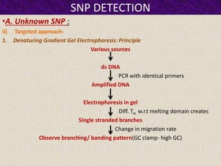 SNP DETECTION
•A. Unknown SNP :
ii) Targeted approach-
1. Denaturing Gradient Gel Electrophoresis: Principle
Various sources
ds DNA
PCR with identical primers
Amplified DNA
Electrophoresis in gel
Diff. Tm w.r.t melting domain creates
Single stranded branches
Change in migration rate
Observe branching/ banding pattern(GC clamp- high GC)
 