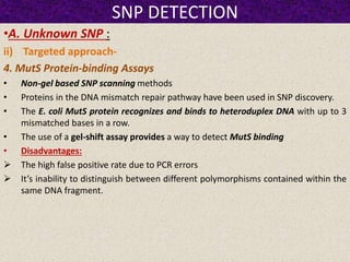 SNP DETECTION
•A. Unknown SNP :
ii) Targeted approach-
4. MutS Protein-binding Assays
• Non-gel based SNP scanning methods
• Proteins in the DNA mismatch repair pathway have been used in SNP discovery.
• The E. coli MutS protein recognizes and binds to heteroduplex DNA with up to 3
mismatched bases in a row.
• The use of a gel-shift assay provides a way to detect MutS binding
• Disadvantages:
 The high false positive rate due to PCR errors
 It’s inability to distinguish between different polymorphisms contained within the
same DNA fragment.
 