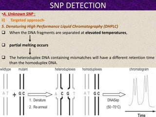 SNP DETECTION
•A. Unknown SNP :
ii) Targeted approach-
5. Denaturing High Performance Liquid Chromatography (DHPLC)
 When the DNA fragments are separated at elevated temperatures,
 partial melting occurs
 The heteroduplex DNA containing mismatches will have a different retention time
than the homoduplex DNA.
 
