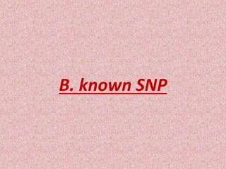 B. known SNP
 