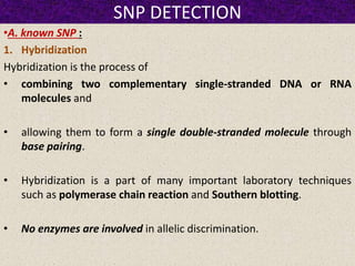 SNP DETECTION
•A. known SNP :
1. Hybridization
Hybridization is the process of
• combining two complementary single-stranded DNA or RNA
molecules and
• allowing them to form a single double-stranded molecule through
base pairing.
• Hybridization is a part of many important laboratory techniques
such as polymerase chain reaction and Southern blotting.
• No enzymes are involved in allelic discrimination.
 