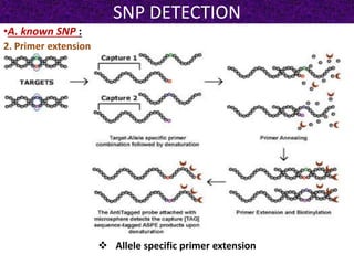 SNP DETECTION
•A. known SNP :
2. Primer extension
 Allele specific primer extension
 
