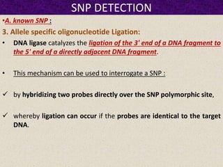 SNP DETECTION
•A. known SNP :
3. Allele specific oligonucleotide Ligation:
• DNA ligase catalyzes the ligation of the 3' end of a DNA fragment to
the 5' end of a directly adjacent DNA fragment.
• This mechanism can be used to interrogate a SNP :
 by hybridizing two probes directly over the SNP polymorphic site,
 whereby ligation can occur if the probes are identical to the target
DNA.
 