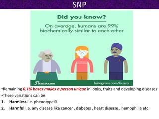 SNP
•Remaining 0.1% bases makes a person unique in looks, traits and developing diseases
•These variations can be
1. Harmless i.e. phenotype
2. Harmful i.e. any disease like cancer , diabetes , heart disease , hemophilia etc
 