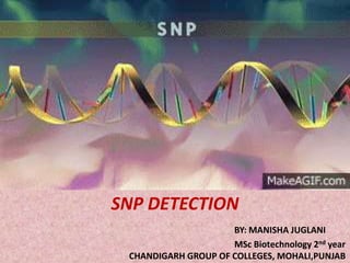 SNP DETECTION
BY: MANISHA JUGLANI
MSc Biotechnology 2nd year
CHANDIGARH GROUP OF COLLEGES, MOHALI,PUNJAB
 