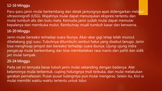 12-16 Minggu
Paru-paru janin mulai berkembang dan detak jantungnya apat didengarkan melalui
ultrasonografi (USG). Wajahnya mulai dapat menunjukan ekspresi tertentu dan
mulai tumbuh alis dan bulu mata. Kemudia janin sudah mulai dapat memutar
kepalanya dan membuka mulut. Rambutnay muali tumbuh kasar dan berwarna.
16-20 Minggu
Janin mulai bereaksi terhadap suara ibunya. Akar-akar gigi tetap telah muncul
dibelakang gigi susu. Tubuhnya ditumbuhi rambut halus yang disebut lanugo. Janin
bisa menghisap jempol dan bereaksi terhadap suara ibunya. Ujung-ujung indra
pengecap mulai berkembang dan bisa membedakan rasa manis dan pahit dan sidik
jari mulai tampak.
20-24 Minggu
Pada sat ini ternyata besar tubuh janin mulai sebanding dengan badanya. Alat
kelaminnya mulai terbentuk, cuping hidungnya muli terbuka, dan mulai melakukan
gerakan pernafassan. Pusat-pusat tulangntya pun mulai mengeras. Selain itu, Kini ia
mulai memiliki waktu-waktu tertentu untuk tidur.
 