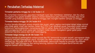  Perubahan Terhadap Maternal
Trimester pertama minggu ke 1-14/ bulan 1-3
Ibu terlambat menstruasi, payudara menbjadi nyeri dan membesar, kelelahan, dan ibu akan
mengalami dua gejala terakhir selama 3 bulan berikutnya yaitu morning sickness atau mual
muntah yang biasanya dimulai sekitar 8 minggu dan mungkin berkhir sampai 12 minggu.
Trimester kedua minggu 16-24/ bulan 4-6
Fundus berada ditengah antara simpisis dan pusat, sekris vagina meningkat tetapi tetap normal
juka tidak gatal, iritasi dan berbau, bulan ke 5 TFU 3 jari dibawah pusat, payudara melai sekresi
kolostrum, kantungketuban menampung 400 ml cairan. Bulan ke 6 fundus sudah diatas pusat,
sakit punggung dan kram pada kaki mungkin melai terjadi, mengalami gatal-gatal pada
abdomen karrena uterus dan kulit merenggang.
Trimester keiga minngu ke 28-36/ bulan 7-9
Fundus berada di pertengahan antara pusat dan PX, hemoroid mungkin terjadi, pernapasan dada
berganti menjadi npenapasan perut, mungkin ibu lelah menjalani kehamilannya dan ingin sekali
menjadi ibu, ibu juga sulit tidur. Bulan kesembilan, penurunan kepala ke panggul ibu/kepala
masuk PAP, sakit punggung dan sering kencing, barxton Hik meningkat karna serviks dan
segmen bawah rahim disiapkan.
 