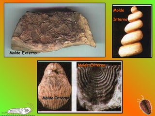 Molde Externo   Molde Externo   Molde Interno   Molde  Interno   