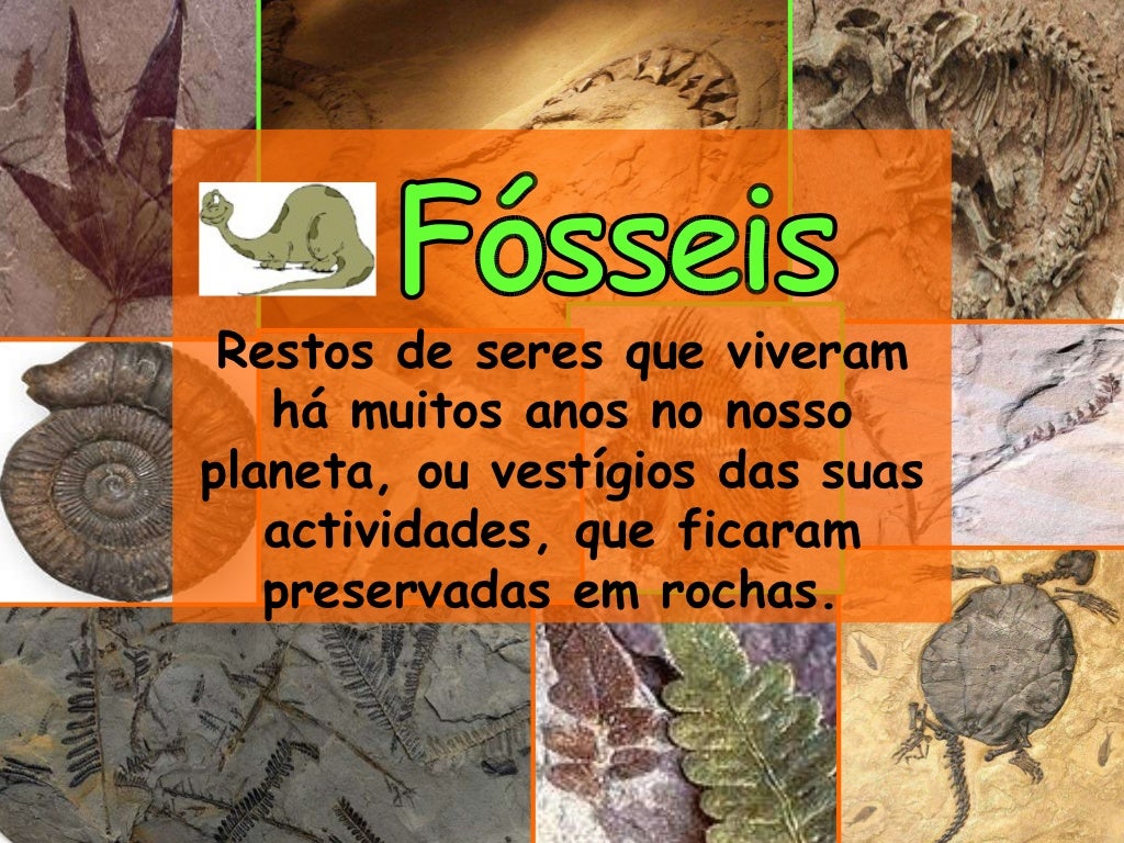 Ppt sobre os fósseis