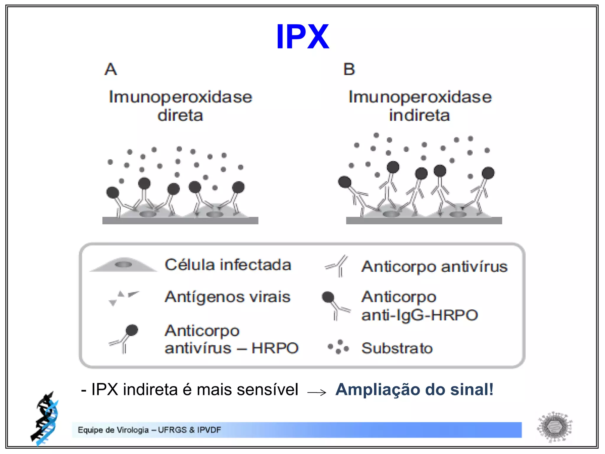 - IPX indireta é mais sensível Ampliação do sinal!
IPX
 