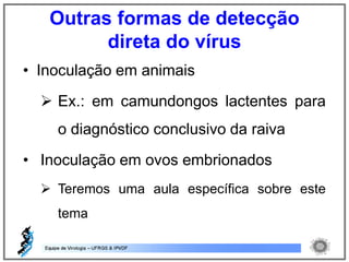 • Inoculação em animais
 Ex.: em camundongos lactentes para
o diagnóstico conclusivo da raiva
• Inoculação em ovos embrionados
 Teremos uma aula específica sobre este
tema
Outras formas de detecção
direta do vírus
 