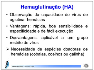 • Observação da capacidade do vírus de
aglutinar hemácias
• Vantagens: rápida, boa sensibilidade e
especificidade e de fácil execução
• Desvantagens: aplicável a um grupo
restrito de vírus
 Necessidade de espécies doadoras de
hemácias (cobaias, coelhos ou galinha)
Hemaglutinação (HA)
 