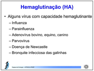 • Alguns vírus com capacidade hemaglutinante
– Influenza
– Parainfluenza
– Adenovírus bovino, equino, canino
– Parvovírus
– Doença de Newcastle
– Bronquite infecciosa das galinhas
Hemaglutinação (HA)
 