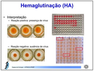 • Interpretação
– Reação positiva: presença de vírus
– Reação negativa: ausência de vírus
– Reação negativa: ausência de vírus
Hemaglutinação (HA)
 