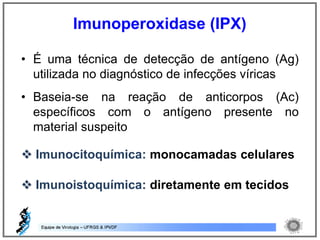 • É uma técnica de detecção de antígeno (Ag)
utilizada no diagnóstico de infecções víricas
• Baseia-se na reação de anticorpos (Ac)
específicos com o antígeno presente no
material suspeito
 Imunocitoquímica: monocamadas celulares
 Imunoistoquímica: diretamente em tecidos
Imunoperoxidase (IPX)
 