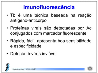 • Tb é uma técnica baseada na reação
antígeno-anticorpo
• Proteínas virais são detectadas por Ac
conjugados com marcador fluorescente
• Rápida, fácil, apresenta boa sensibilidade
e especificidade
• Detecta tb vírus inviável
Imunofluorescência
 