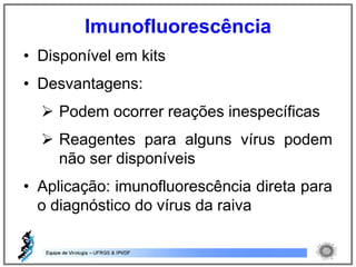 • Disponível em kits
• Desvantagens:
 Podem ocorrer reações inespecíficas
 Reagentes para alguns vírus podem
não ser disponíveis
• Aplicação: imunofluorescência direta para
o diagnóstico do vírus da raiva
Imunofluorescência
 