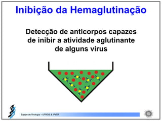 Detecção de anticorpos capazes
de inibir a atividade aglutinante
de alguns vírus
Inibição da Hemaglutinação
 