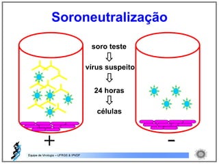 + -
soro teste
vírus suspeito
células
24 horas
Soroneutralização
 