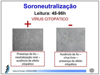 Leitura: 48-96h
VÍRUS CITOPÁTICO
+ -
Presença de Ac –
neutralização viral –
ausência de efeito
citopático
Ausência de Ac –
vírus livre –
presença de efeito
citopático
Soroneutralização
 
