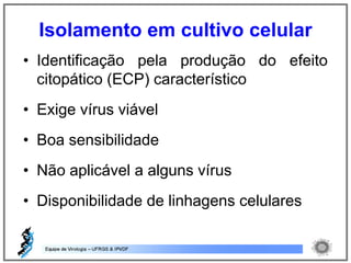 • Identificação pela produção do efeito
citopático (ECP) característico
• Exige vírus viável
• Boa sensibilidade
• Não aplicável a alguns vírus
• Disponibilidade de linhagens celulares
Isolamento em cultivo celular
 