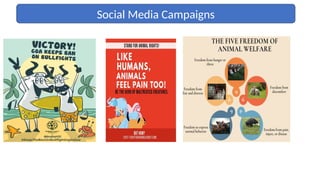 PPT on Role of social media in creating awareness for welfare of Stray ...