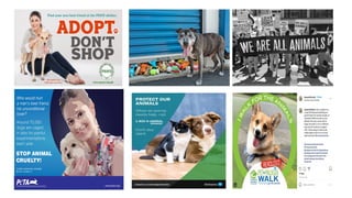 PPT on Role of social media in creating awareness for welfare of Stray ...
