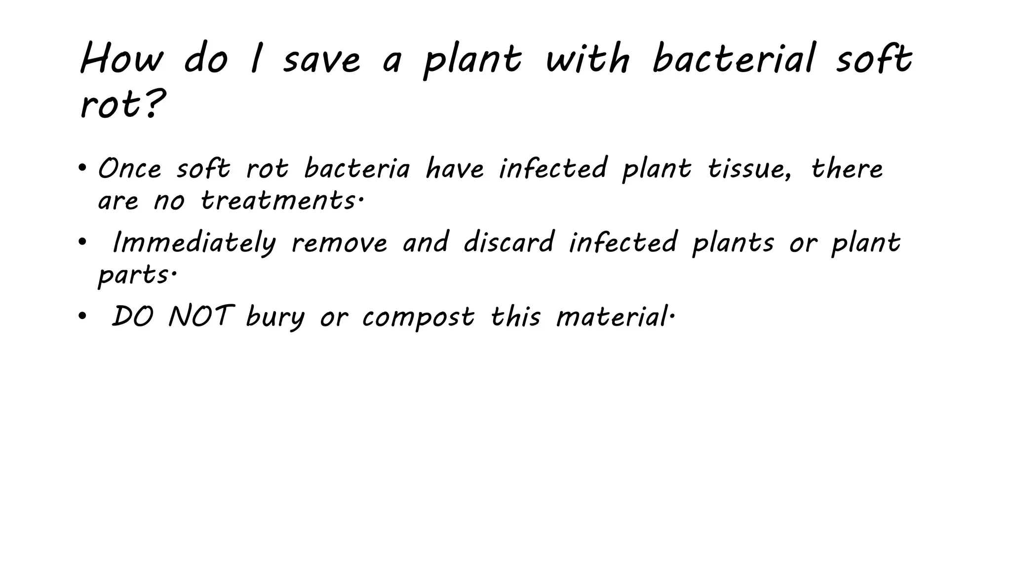 How do I save a plant with bacterial soft
rot?
• Once soft rot bacteria have infected plant tissue, there
are no treatments.
• Immediately remove and discard infected plants or plant
parts.
• DO NOT bury or compost this material.
 