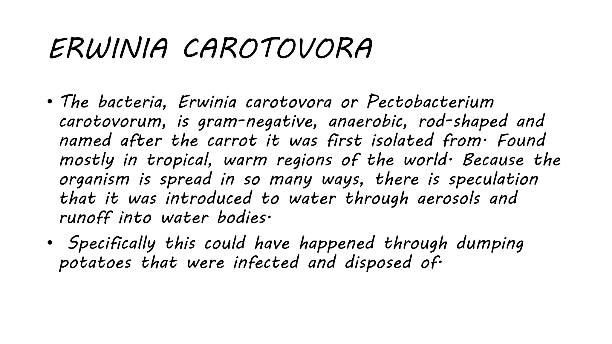 ERWINIA CAROTOVORA
• The bacteria, Erwinia carotovora or Pectobacterium
carotovorum, is gram-negative, anaerobic, rod-shaped and
named after the carrot it was first isolated from. Found
mostly in tropical, warm regions of the world. Because the
organism is spread in so many ways, there is speculation
that it was introduced to water through aerosols and
runoff into water bodies.
• Specifically this could have happened through dumping
potatoes that were infected and disposed of.
 