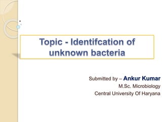.
Submitted by – Ankur Kumar
M.Sc. Microbiology
Central University Of Haryana
 
