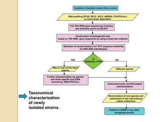 Identification Of Unknown Bacteria And Biochemical Tests.pptx