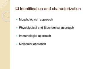 Identification Of Unknown Bacteria And Biochemical Tests.pptx