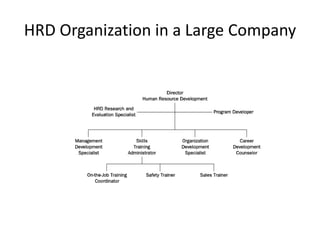 HRD Organization in a Large Company

 