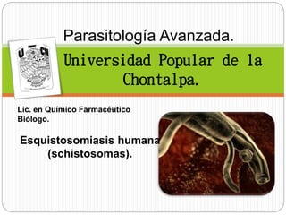 Parasitología Avanzada.
Universidad Popular de la
Chontalpa.
Lic. en Químico Farmacéutico
Biólogo.
Esquistosomiasis humana
(schistosomas).
 