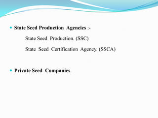  State Seed Production Agencies :-

      State Seed Production. (SSC)

      State Seed Certification Agency. (SSCA)



 Private Seed Companies.
 