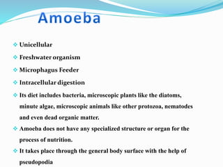  Unicellular 
 Freshwater organism 
 Microphagus Feeder 
 Intracellular digestion 
 Its diet includes bacteria, microscopic plants like the diatoms, 
minute algae, microscopic animals like other protozoa, nematodes 
and even dead organic matter. 
 Amoeba does not have any specialized structure or organ for the 
process of nutrition. 
 It takes place through the general body surface with the help of 
pseudopodia 
 