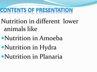 Nutrition in different lower 
animals like 
Nutrition in Amoeba 
Nutrition in Hydra 
Nutrition in Planaria 
 