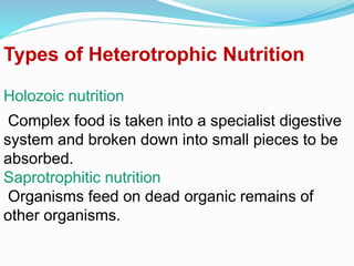 Types of Heterotrophic Nutrition 
Holozoic nutrition 
Complex food is taken into a specialist digestive 
system and broken down into small pieces to be 
absorbed. 
Saprotrophitic nutrition 
Organisms feed on dead organic remains of 
other organisms. 
 