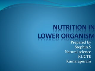Prepared by 
Stephin.S 
Natural science 
KUCTE 
Kumarapuram 
 