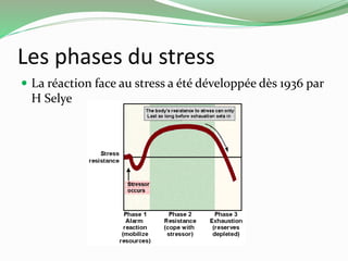 Les phases du stress 
 La réaction face au stress a été développée dès 1936 par 
H Selye 
 