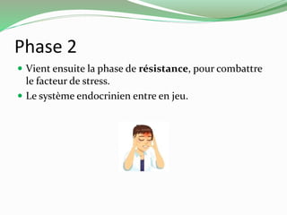 Phase 2 
 Vient ensuite la phase de résistance, pour combattre 
le facteur de stress. 
 Le système endocrinien entre en jeu. 
 