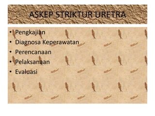 ASKEP STRIKTUR URETRA 
• Pengkajian 
• Diagnosa Keperawatan 
• Perencanaan 
• Pelaksanaan 
• Evaluasi 
 