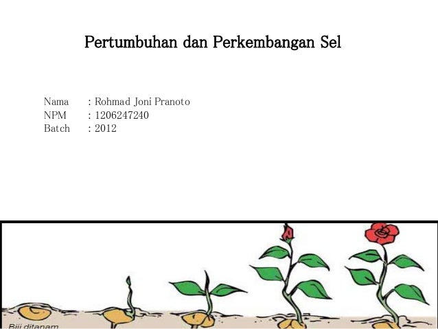 Pertumbuhan Dan Perkembangan Sel Tumbuhan